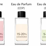A minimal infographic showing three identical perfume bottles with different liquid levels representing Parfum (20–30%), Eau de Parfum (15–20%), and Eau de Toilette (5–15%) concentrations.